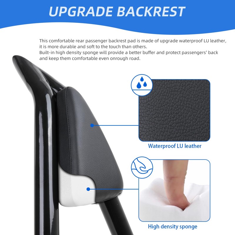 DREAMIZER Detachable Passenger Backrest Glossy Black Quick Release Sissy Bar