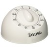 Taylor Long Ring Mechanical Timer