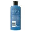 Herbal Essences Bio Renew Argan Oil of Morocco Conditioner 400mL