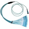Plenum Fiber Optic Cable, 100 Gigabit Ethernet CFP/CXP 100GBase-SR10 to