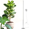 Barrina T1S Standing Grow Light for Indoor Plants with Timer,