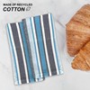 CHARDIN HOME Blues Salsa Stripe Napkin, 18x18 in, Set of
