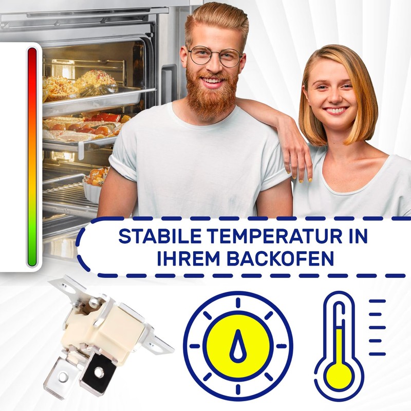 Temperature Limiter for Oven 110 °C with Original Code 10004817