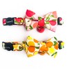 Cognatio Quick Release Cat Collars, Fruit Patterned Kitten Collars with