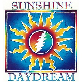 Grateful Dead Sunshine Daydream - Window Sticker/Decal (5" X 5.5") Y