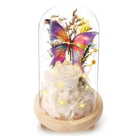 JIGQGY Birthday Christian Gifts for Women,Preserved Roses,Romantic Gifts for Her,Mother,Wife,Girlfriend on Thanksgiving Christmas Valentine's Day,Forever Flower in Glass Dome with LED(White)