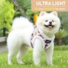 GAMUDA Small Dog Harness Collar and Leash Set, Step in