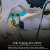 Ordeñadoras Vacas Con Gancho, Grupo De De Leche Para Bomba