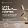 natural elements Frankincense Capsules - 1176mg Extract from Frankincense /
