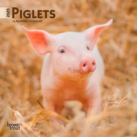 Piglets | 2025 7 x 14 Inch Monthly Mini Wall Calendar | BrownTrout | Domestic Pet Baby Farm Animals