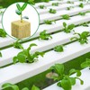 72Pcs Rockwool Grow Cubes - 1.5×1.2×1.2Inch Stonewool Starter Plugs for