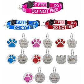 Cat Collar DO NOT Feed in Red, Pink Or Blue, Safety Release & Optional Engraved ID Tag (Blue, No Tag)