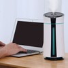 1150ml Portable Mini Humidifier Visible Water Level Quiet USB Small