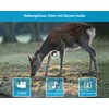 GardePro E5S Wildlife Camera 32MP 1296P H.264 Video, Wildlife Camera