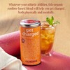 The Republic of Tea - Get Charged Herb Tea for
