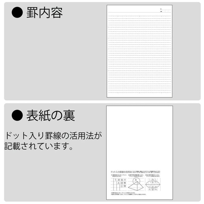 Kokuyo No-203CATN-G Campus Notebook, Dot Ruled, A4 Size, Green