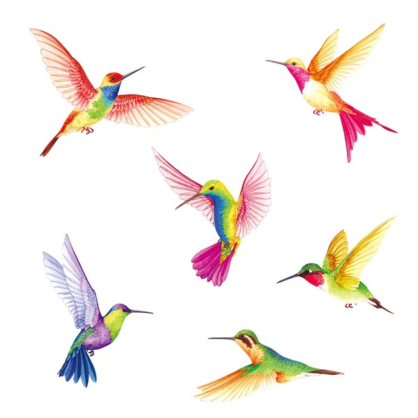 BASHOM BA-4002 6 Large Beautiful Humming Birds Wall Stickers Flying Hummingbird Decals Removable for Bedroom Living Room Art Home Décor