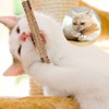 HUIQIHANG 4-Pack Natural Silvervine Cat Chew Sticks, Interactive Catnip Toys