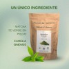 Pharmadan, Te Verde Matcha Genuino 100% Puro Sin Azucar Premium