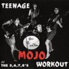 Teenage Mojo Workout [Vinyl LP]