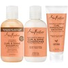 SheaMoisture Curl & Shine Shampoo, Conditioner & Curl Enhancing Smoothie,