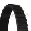 Contitech CT649 Timing Belt