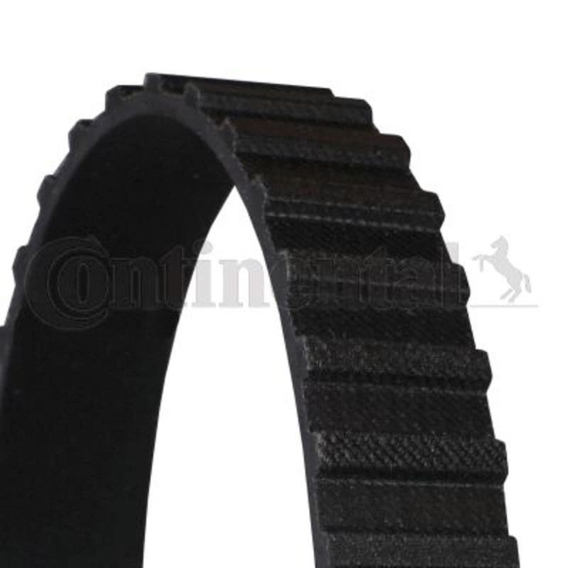 Contitech CT649 Timing Belt
