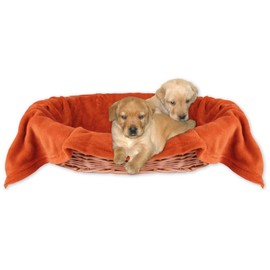 Bestlivings Pet Blanket Cuddly Soft Available in Many (80 x 120 cm / Terracotta - Ochre)