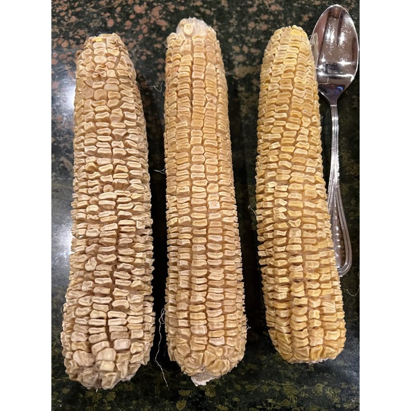 USDA, Organic, Silver, Hawaiian #9, Super, Sweet Corn, Heirloom, Open