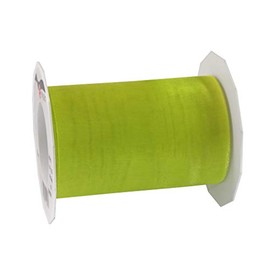 PRÄSENT C.E. Pattberg Sheer Organza Ribbon Lime (Green) 25 Metres of Gift Wrapping Ribbon 112mm Width Decorating & Craft Supplies Decorative Ribbon