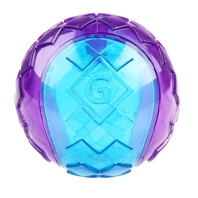 Gigwi Squeaker Ball Dog Toy, Small