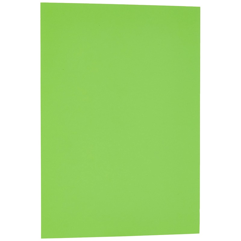 ARK A4 240gsm Colored Card Stock Pack of 10 Sheets