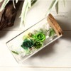 Teat Sight Preserved Flower Flower Bottle Gift Box Soleil (Rose,