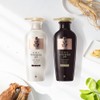 LYO 진생보 샴푸/컨디셔너 400ml 2입 Ginseng Shampoo/Conditioner 400ml 2-pack
