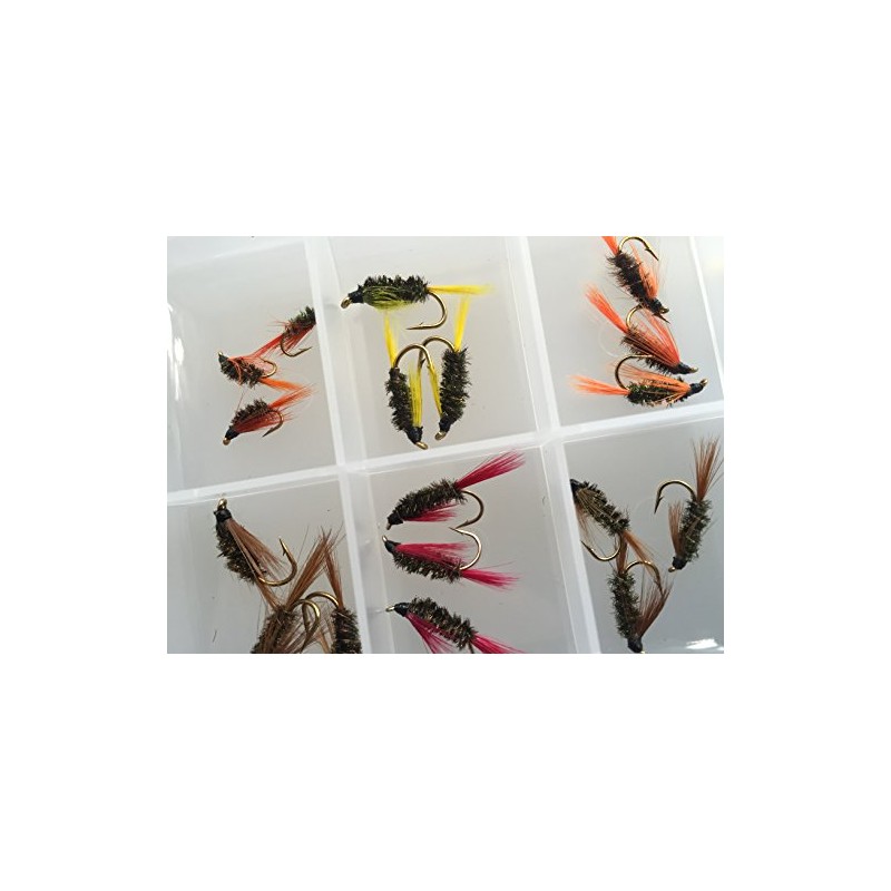 BestCity Fly Fishing Coloured and Natural Diawl Bach 24 Flies