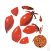 Life Tree Rosehip Oil Clear Purified / Rosehip Clear 0.9