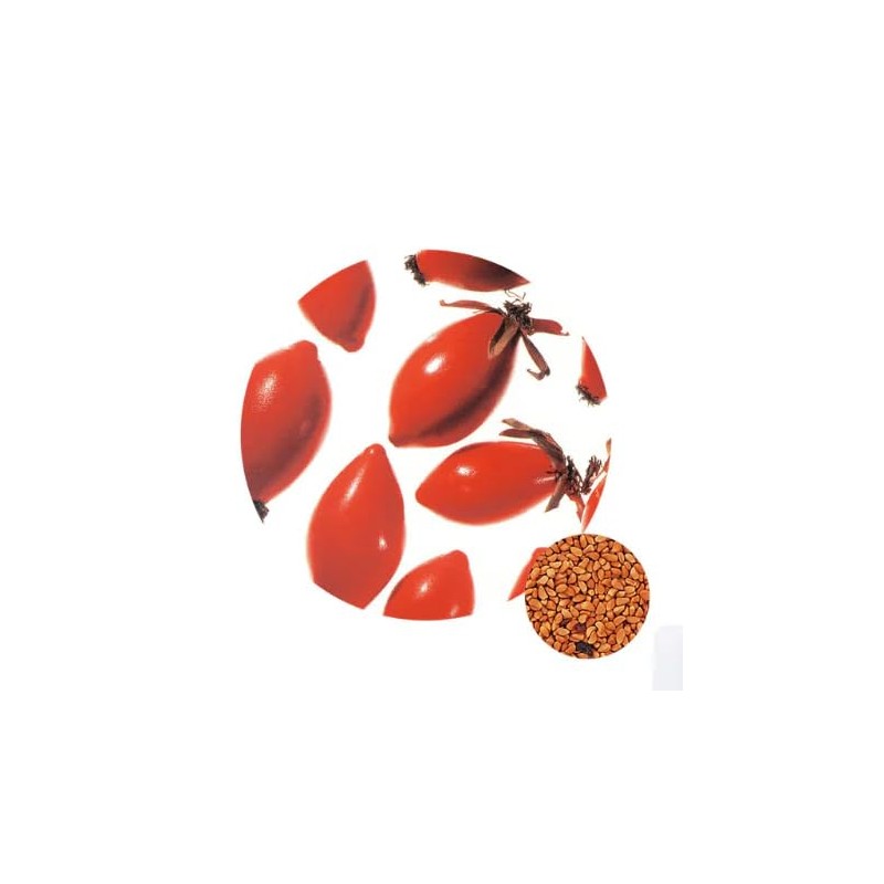 Life Tree Rosehip Oil Clear Purified / Rosehip Clear 0.9