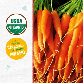 Back to the Roots 100% Organic Seed Packet - Carrot 'Bambino' 420mg