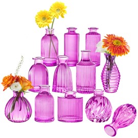 12PCS Hot Pink Vase for Flowers, Small Glass Bud Vases for Centerpieces Purple Flower Vase in Bulk for Home Office Decor
