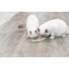 TRIXIE Lick'n Snack Mat for Cats, Fish-Shaped Cat Slow Feeder,