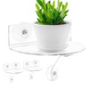 Skewo 2-Pack Acrylic Window Plant Shelves with Suction Cups &