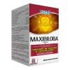 Maxibiloba Cmd Ácido Glutámico/ginkgo Biloba 60 Comprimidos Sabor Sin Sabor