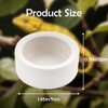 3 Pack Small Reptile Feeding Bowl Ceramic Food and Water