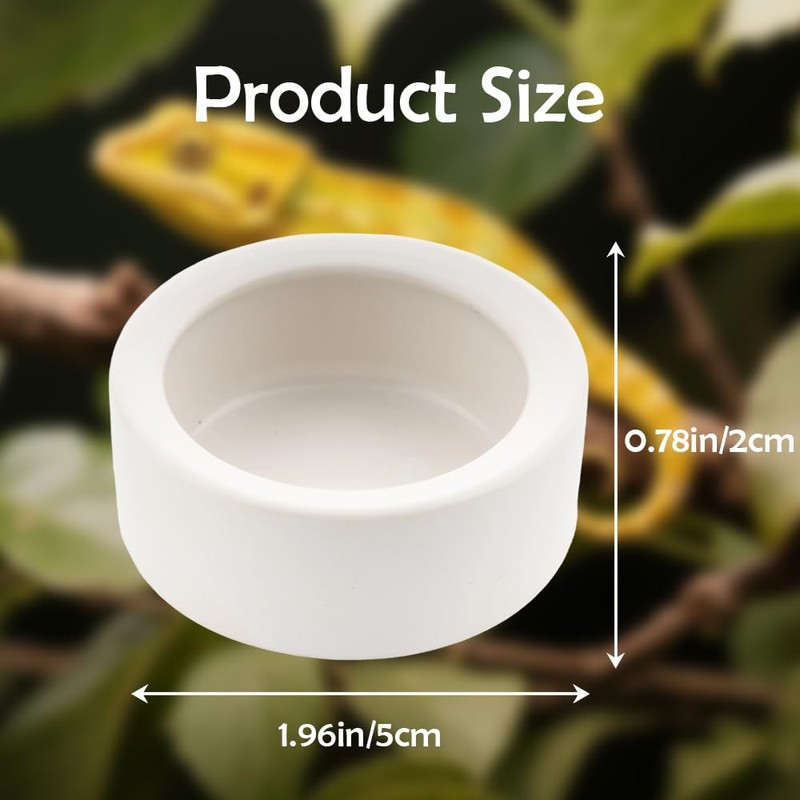3 Pack Small Reptile Feeding Bowl Ceramic Food and Water