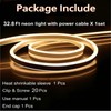 LED Neon Rope Lights 32.8FT 10M 120V AC Plug-in LED