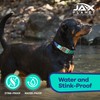 Jelly Waterproof Martingale Dog Collar, No Pull Nylon Collar with