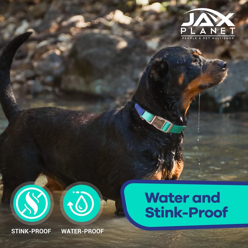 Jelly Waterproof Martingale Dog Collar, No Pull Nylon Collar with