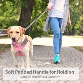 PHOEPET 5 Feet Dog Leash - Dual-Side Reflective - Soft Padded Handle - Fit for Walking, Training or Exploring Hiking, Camping (Grey + Baby Pink Base)