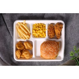 E.F.tableware Disposable Tableware, 100% Compostable Plate 100-Pack 5-Compartment Disposable Tray, Biodegradable Environmentally Friendly Stackable Durable, Eco-Friendly Made of Sugar Cane Fibers