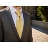 S&W SHLAX&WING Ties for Men Solid Yellow Formal Tie and